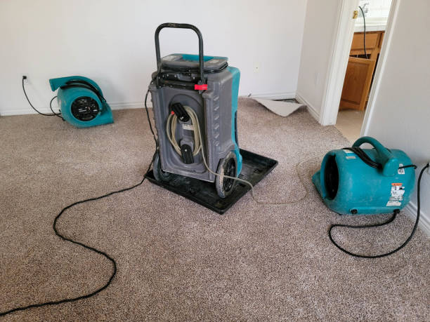 Best Professional water damage repair  in Bedford, IA