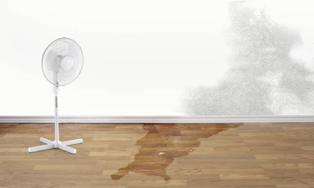 Reliable Bedford, IA Water damage restoration Solutions