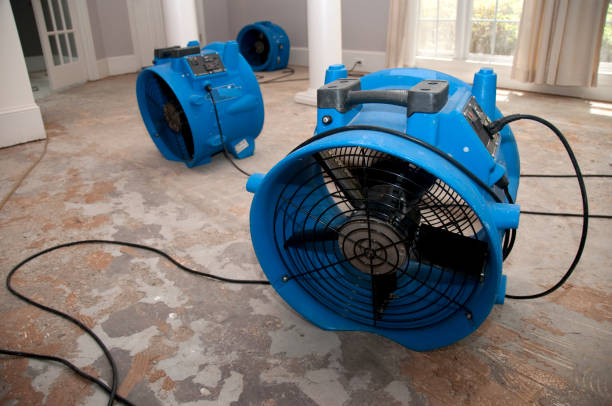 Best Carpet water damage restoration  in Bedford, IA