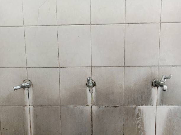 Best Basement water damage restoration  in Bedford, IA