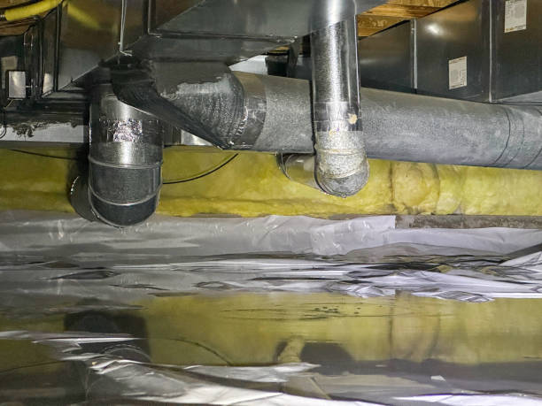 Best Sewage cleanup and water damage restoration  in Bedford, IA